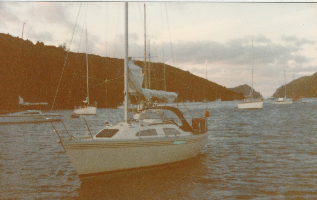 Whiting 29 yacht Mulingar